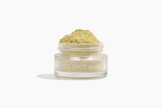 SEE SPOT RUN MINI | FACE MASK
